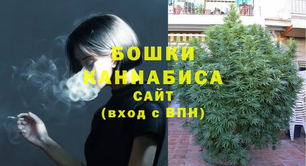 бошки Гусиноозёрск