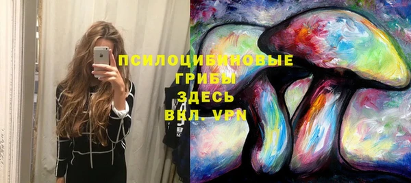 бошки Гусиноозёрск