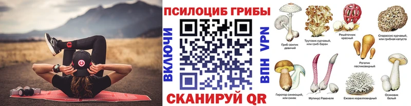 купить  цена  Нея  Псилоцибиновые грибы Magic Shrooms 